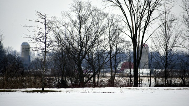 the landscape - thetemenosjournal.com