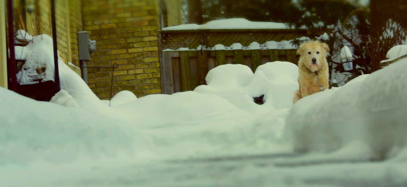 Your Tour Guide - thetemenosjournal.com