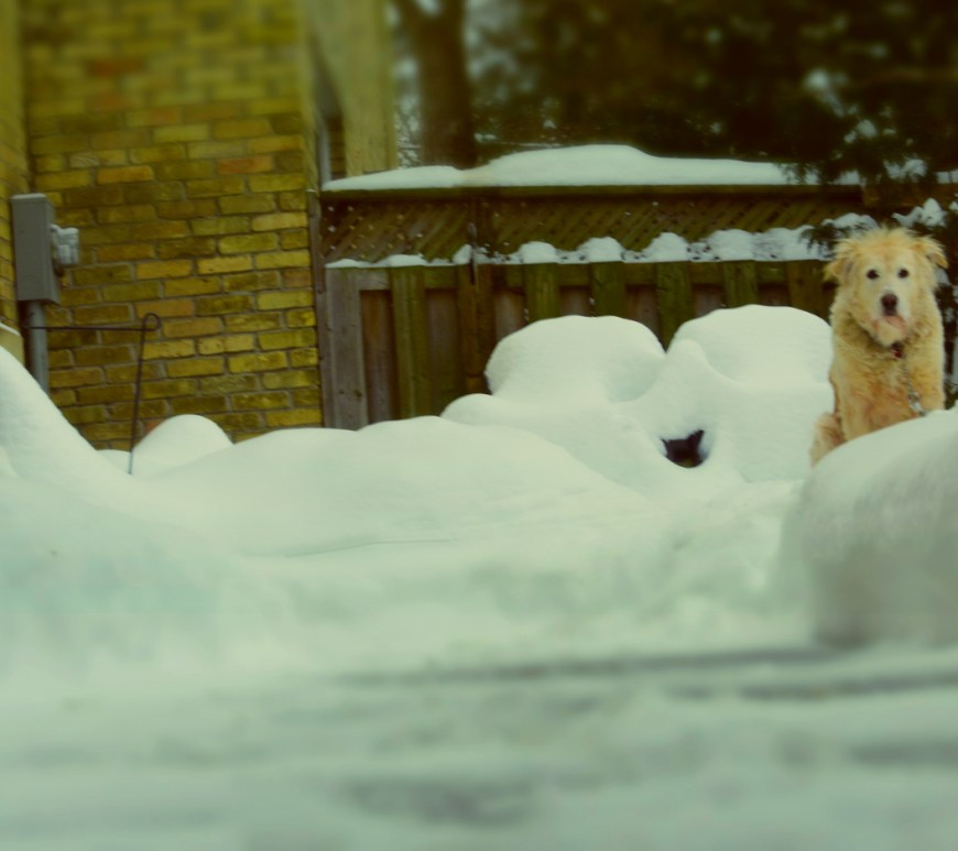 Your Tour Guide - thetemenosjournal.com