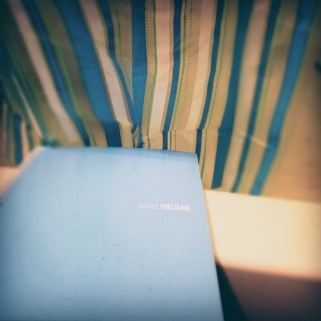 blue notebook and shower curtain - thetemenosjournal.com