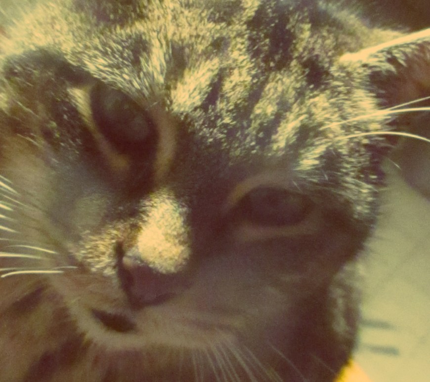 sofie listening to me - thetemenosjournal.com