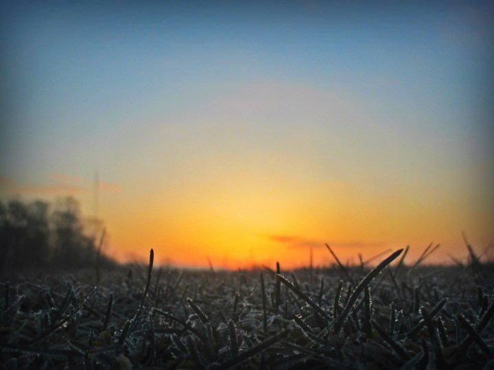 the dawn - thetemenosjournal.com