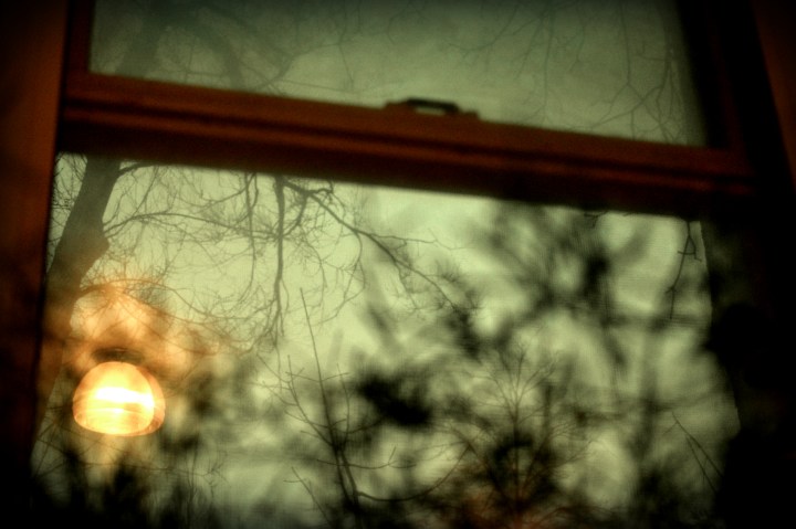 out the window this morning - thetemenosjournal.com