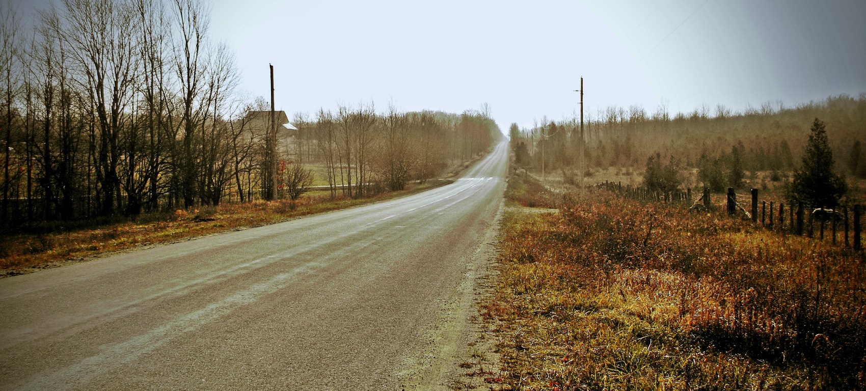 Artemisia-Glenelg Townline - Grey County, Ontario, Canada - thetemenosjournal.com