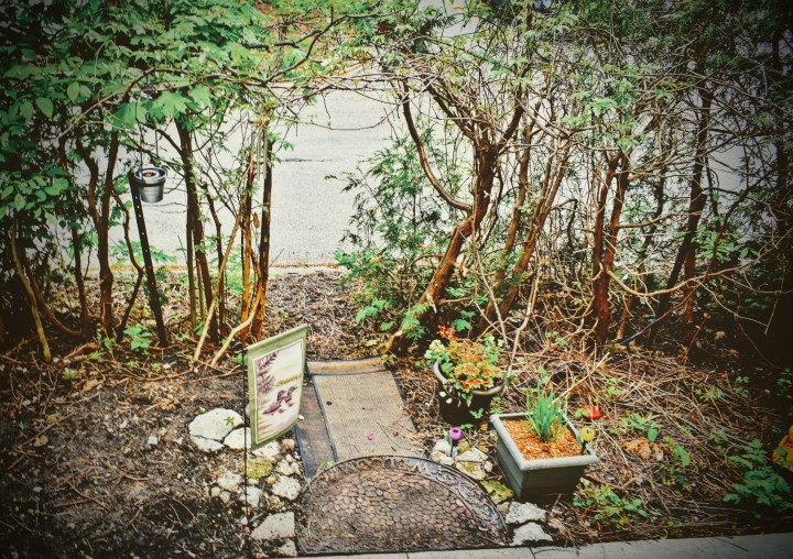 the arbour - thetemenosjournal.com