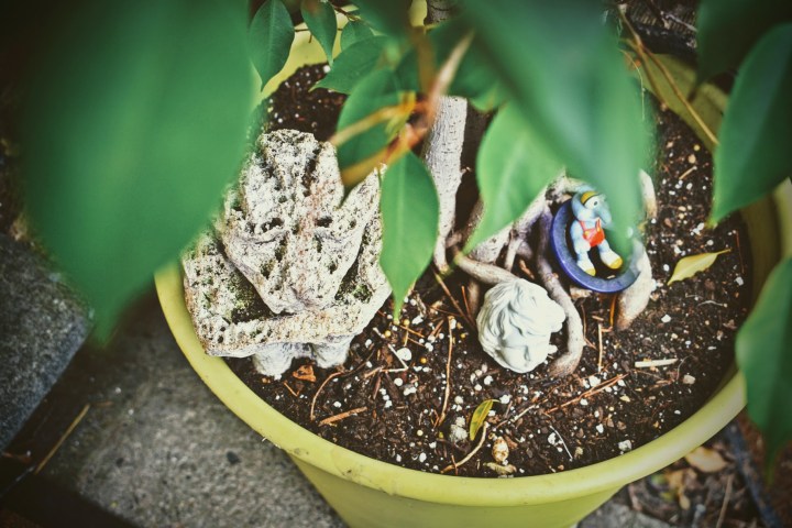 Garden Gods And Gonzo - thetemenosjournal.com