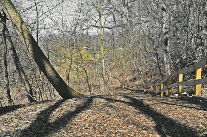 golden path to coves - thetemenosjournal.com