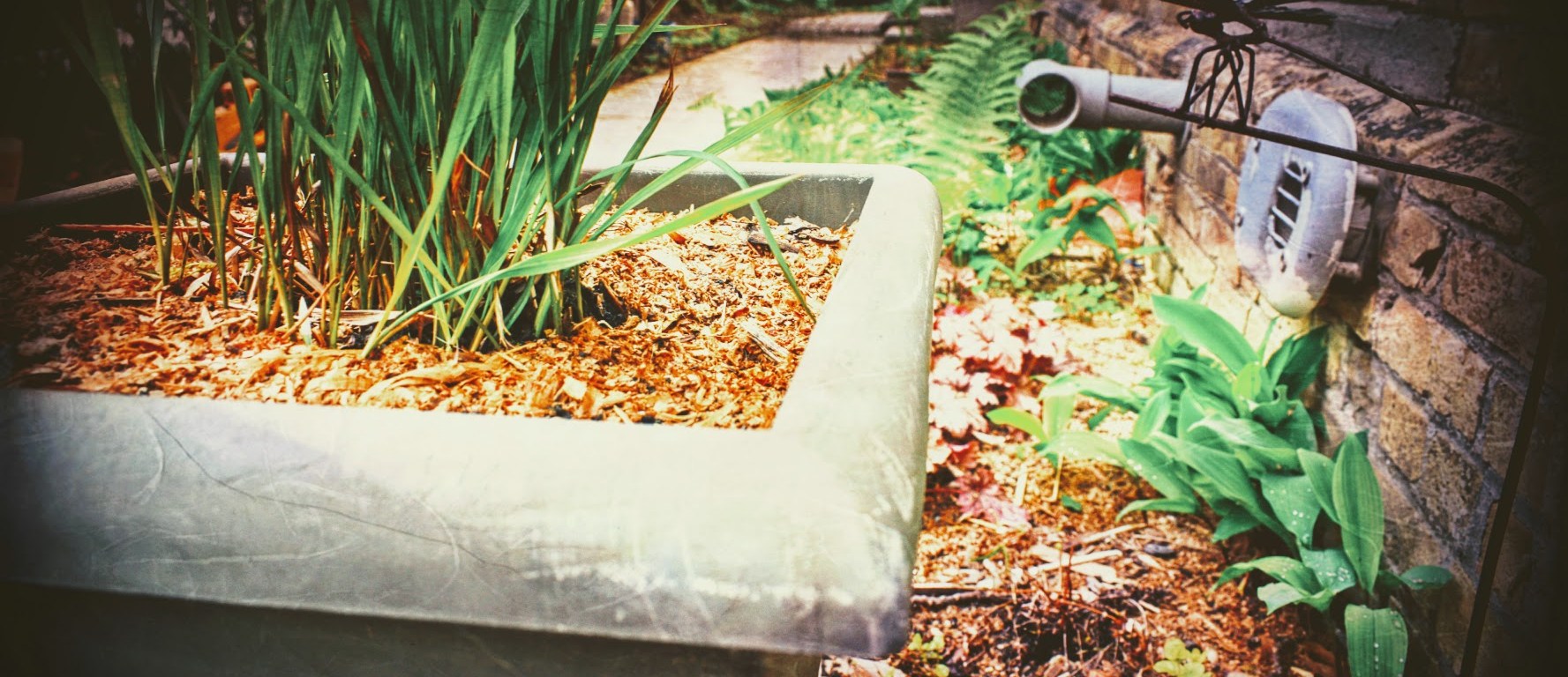 spring garden 2018 - May - thetemenosjournal.com