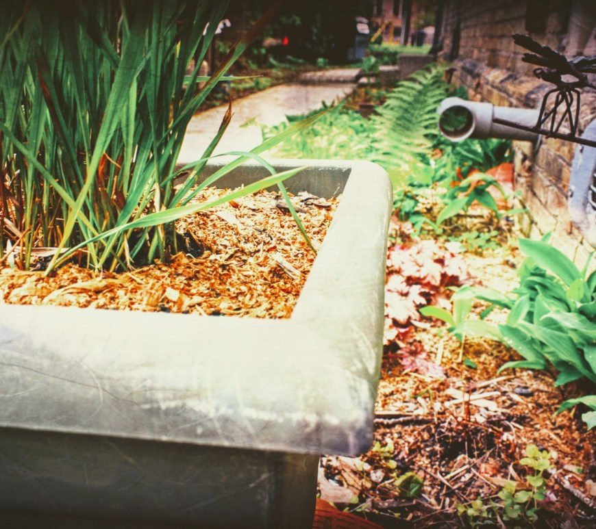 spring garden 2018 - May - thetemenosjournal.com