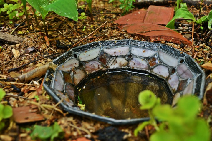 Tiffany style lamp shade bird bath - thetemenosjournal.com 