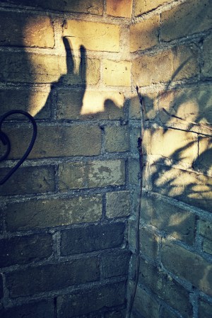 bunny ears on the brick wall - thetemenosjournal.com