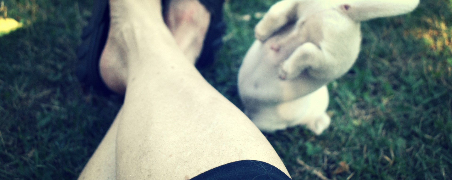 puppy bum - thetemenosjournal.com