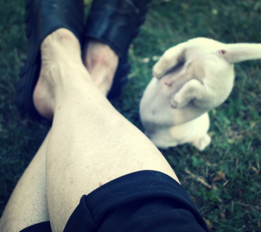 puppy bum - thetemenosjournal.com