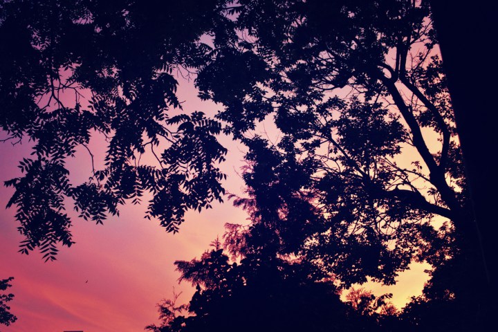 red sky in the morning - thetemenosjournal.com