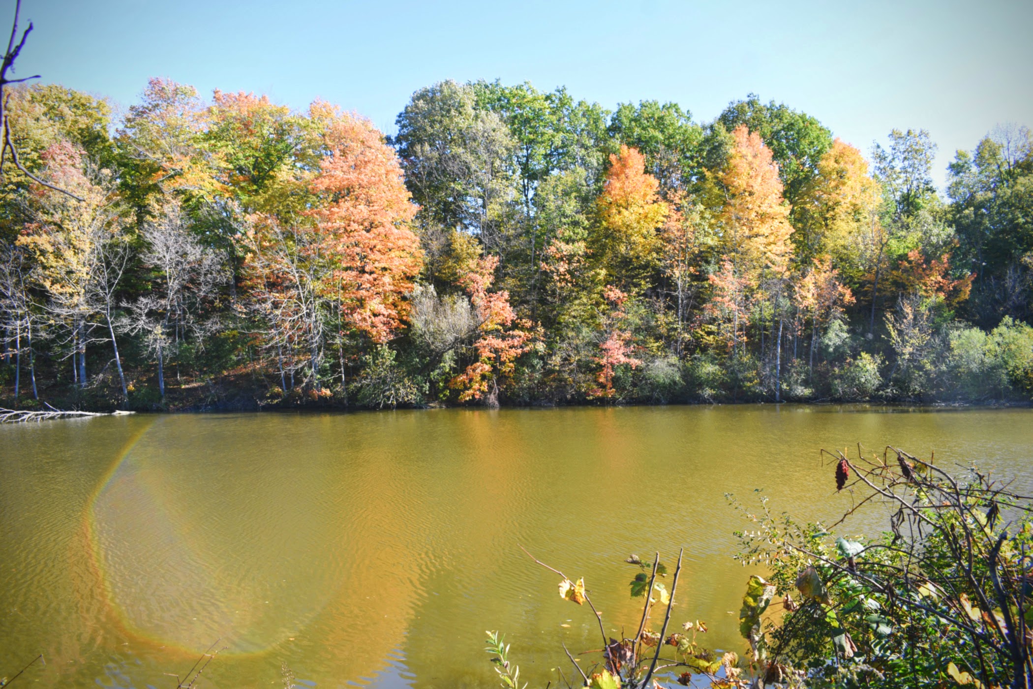 Autumn Colours At The Coves - 2018 - London, Ontario, Canada - thetemenosjournal.com