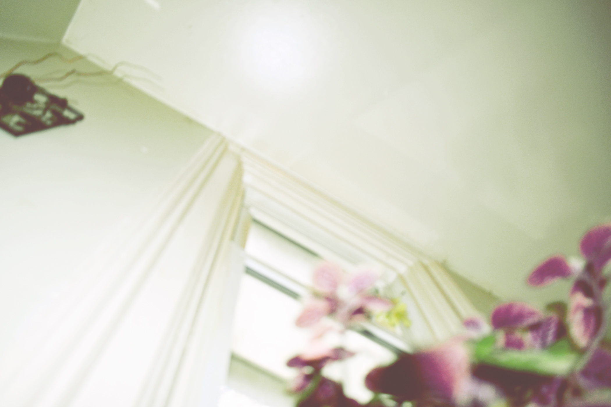 looking up and out the window - thetemenosjournal.com