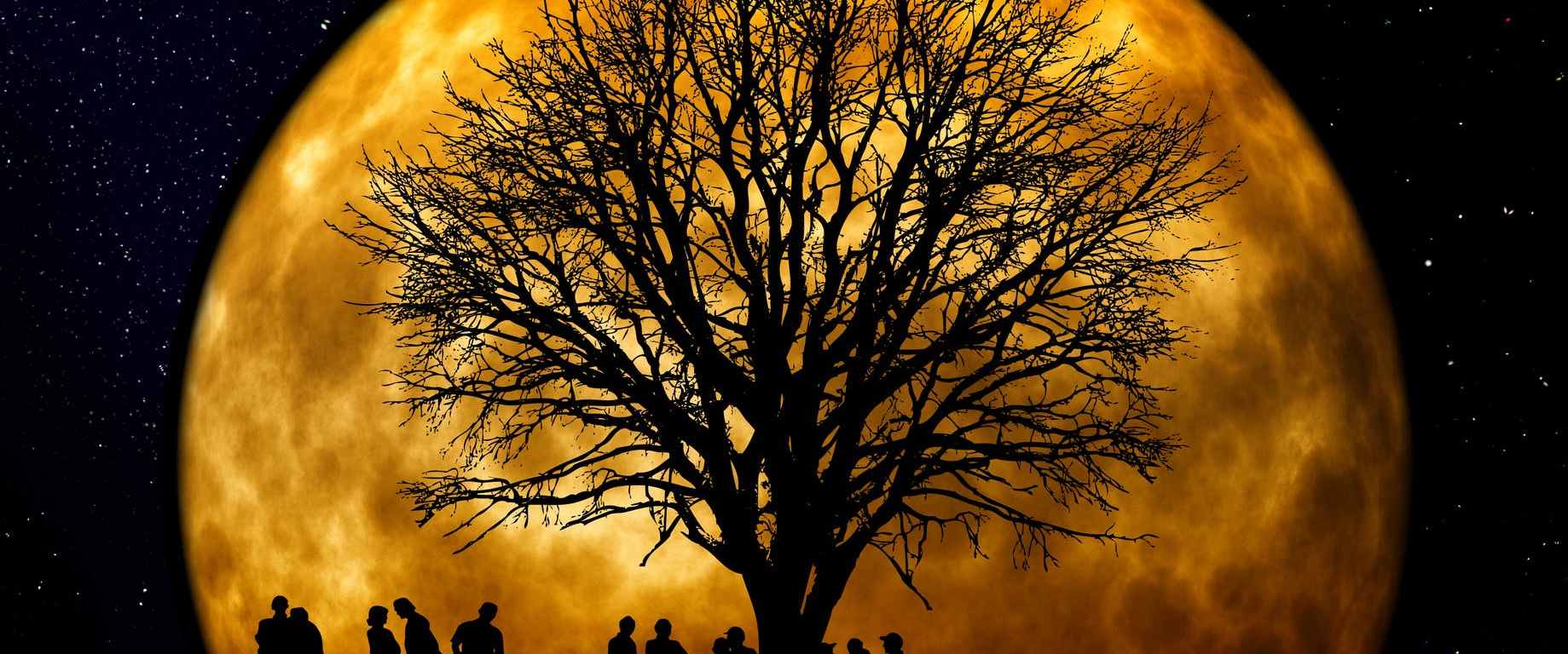 silhouette of people standing neat tree under the moon