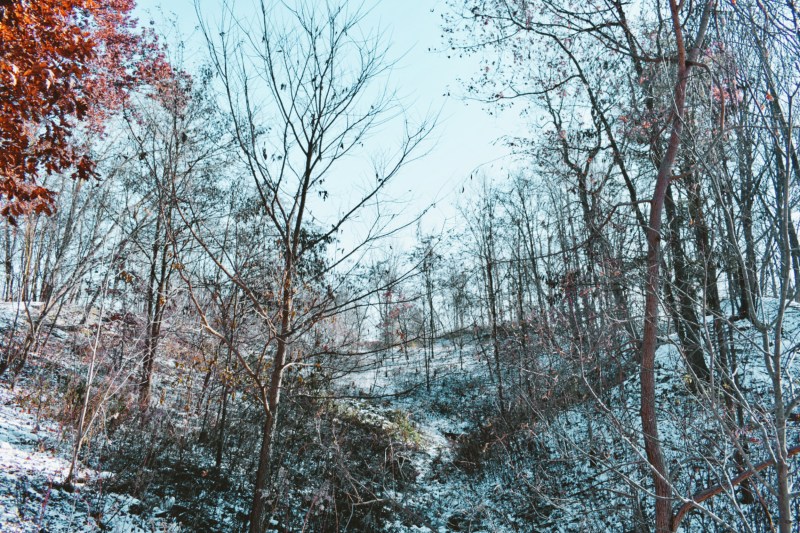 the coves trail - London, Ontario, Canada - thetemenosjournal.com