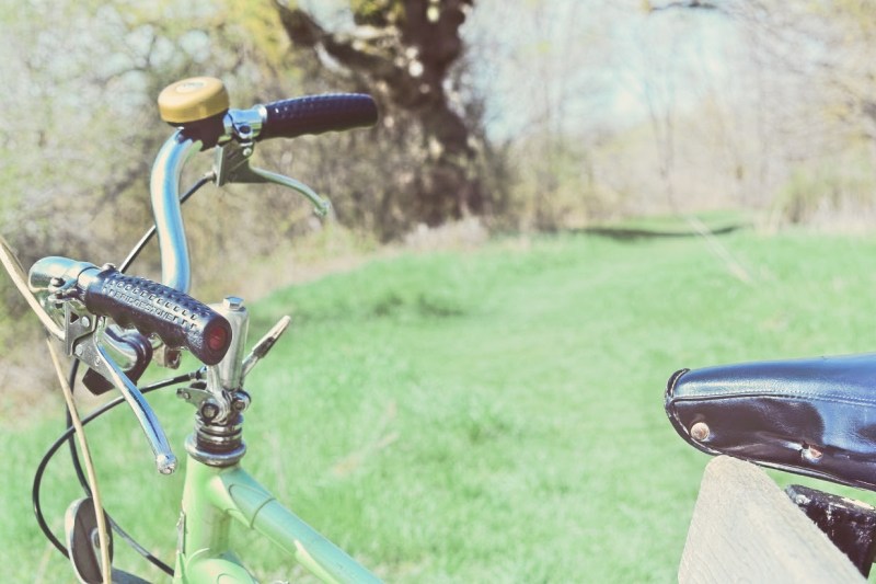 Vintage Bike at Park - thetemenosjournal.com