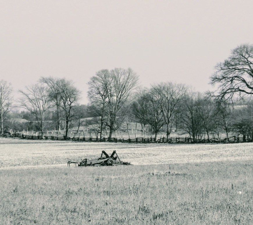 a field in grey county, ontario, canada - thetemenosjournal.com