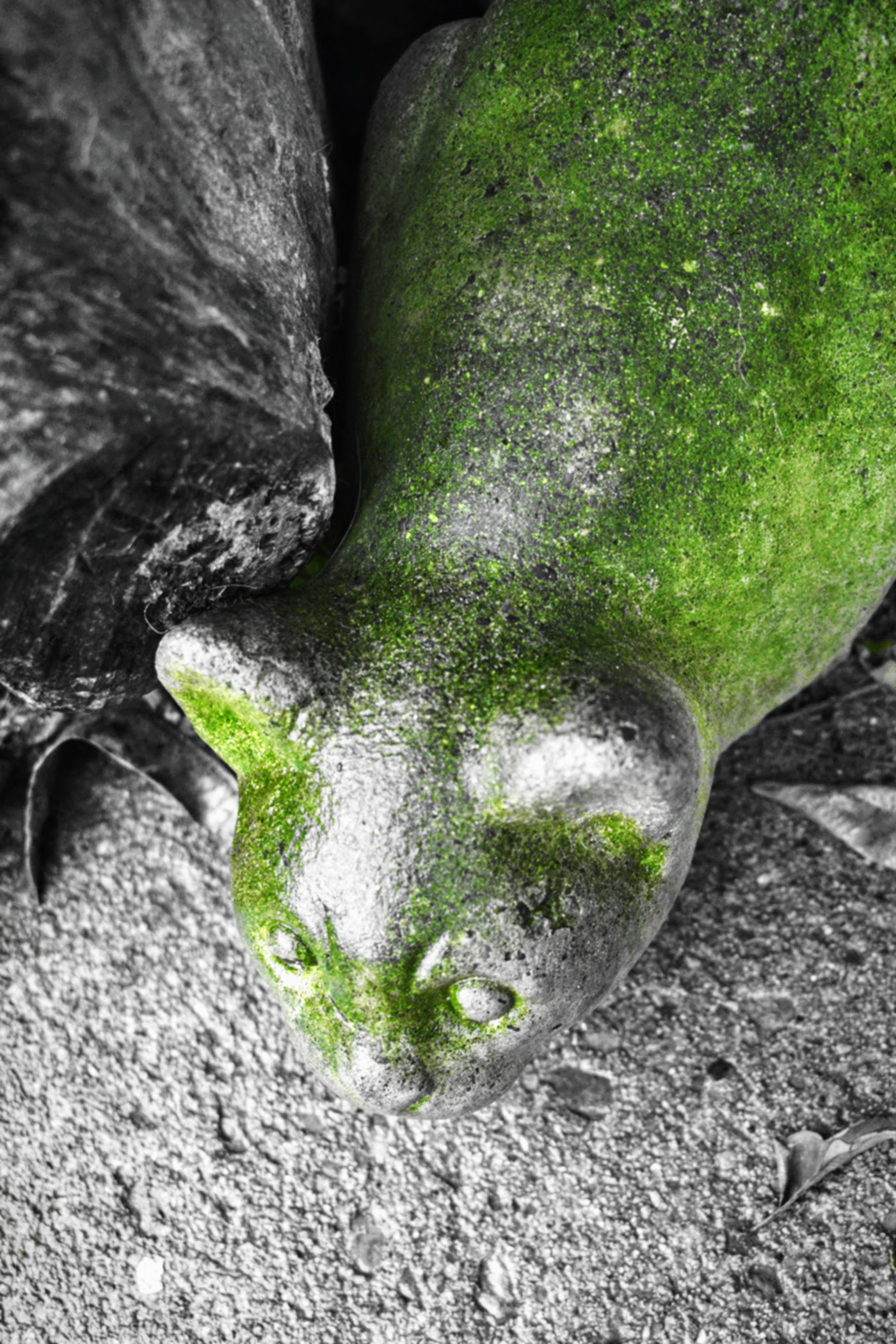 cat statue with lichen - thetemenosjournal.com
