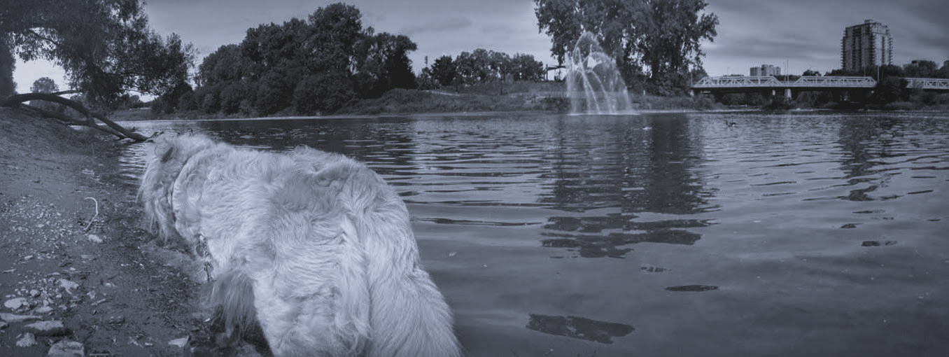 irish and i at the forks of the thames - thetemenosjournal.com