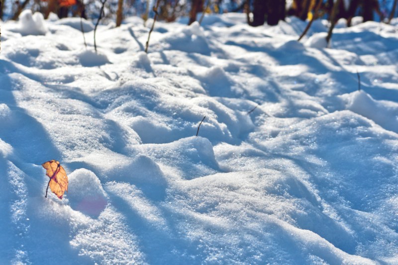 snowy landscape with golden leaf - thetemenosjournal.com
