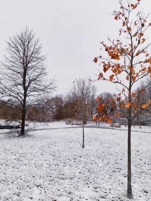 snowy day at the busstop