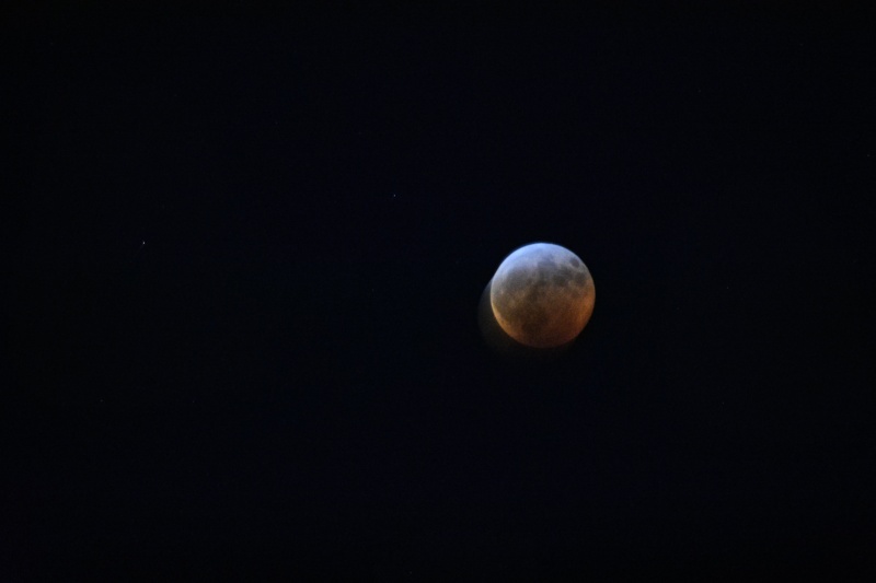 blood wolf moon eclipse January 21, 2019 @ 12:09am