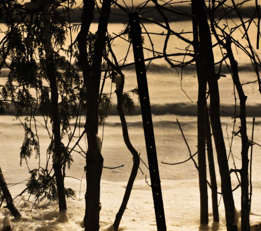 snow on cedars before dawn - thetemenosjournal.com