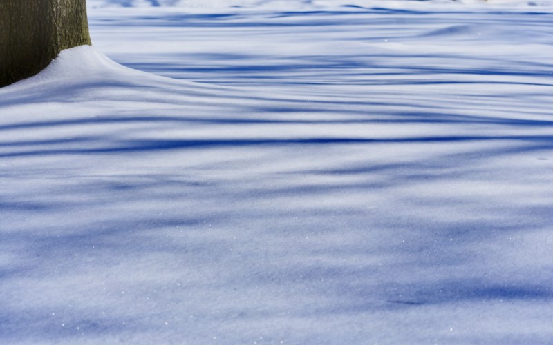 glistening shadows on the snow - london, ontario, canada - thetemenosjournal.com