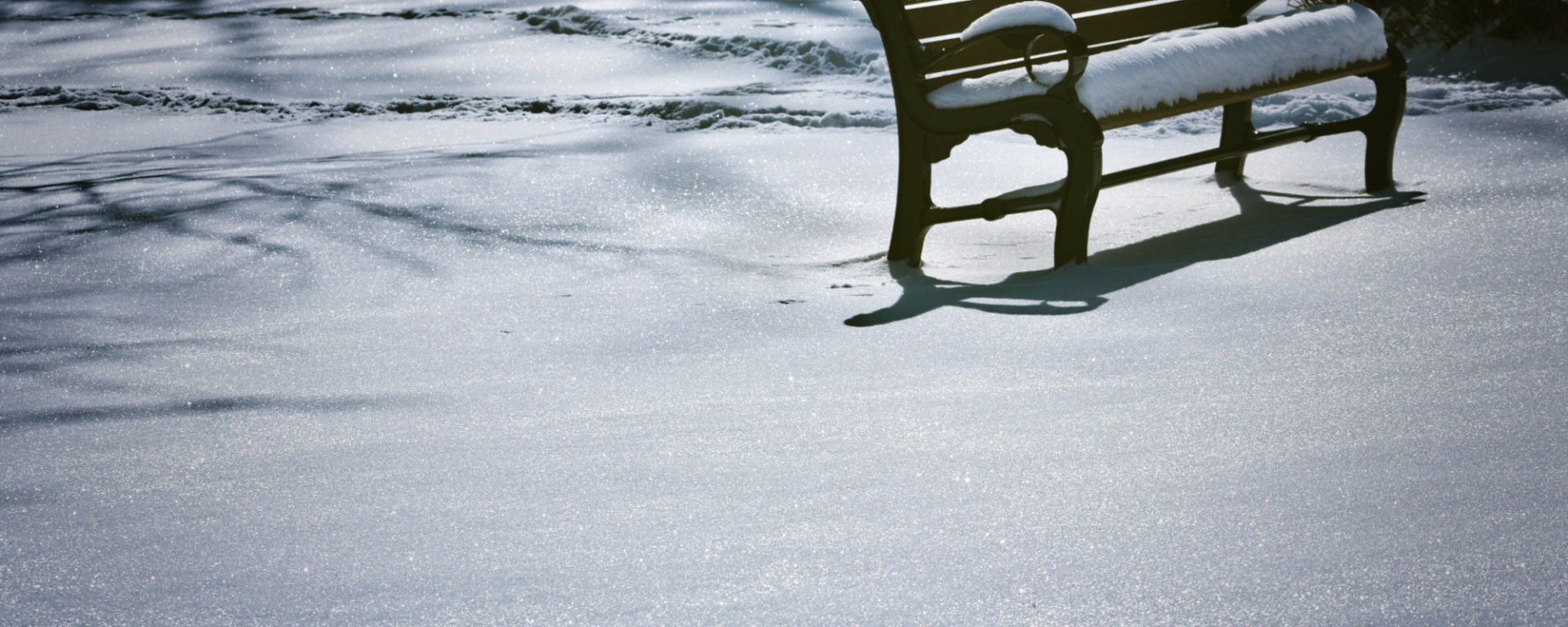 glistening on the green - london, ontario, canada - thetemenosjournal.com