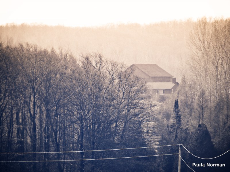 house in the woods - grey county, ontario, canada - thetemenosjournal.com