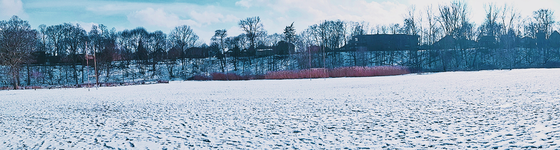 looking up to Old South - London, Ontario, Canada - thetemenosjournal.com