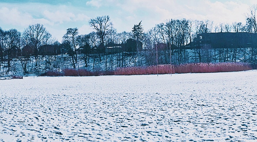 looking up to Old South - London, Ontario, Canada - thetemenosjournal.com