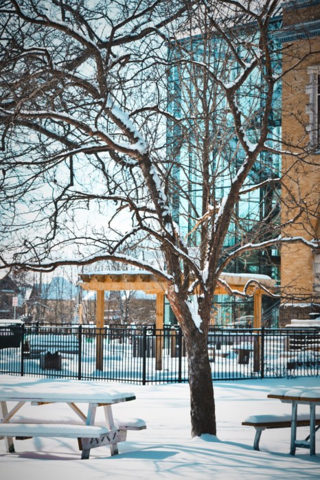 glass atrium at Normal School - london, ontario, canada - thetemenosjournal.com
