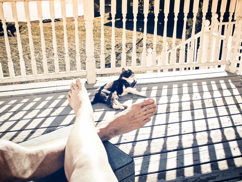 us at the lake with gizmo that my old cat - thetemenosjournal.ccom