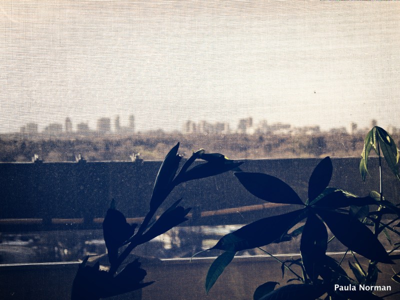 mississauga, ontario, canada - thetemenosjournal.com