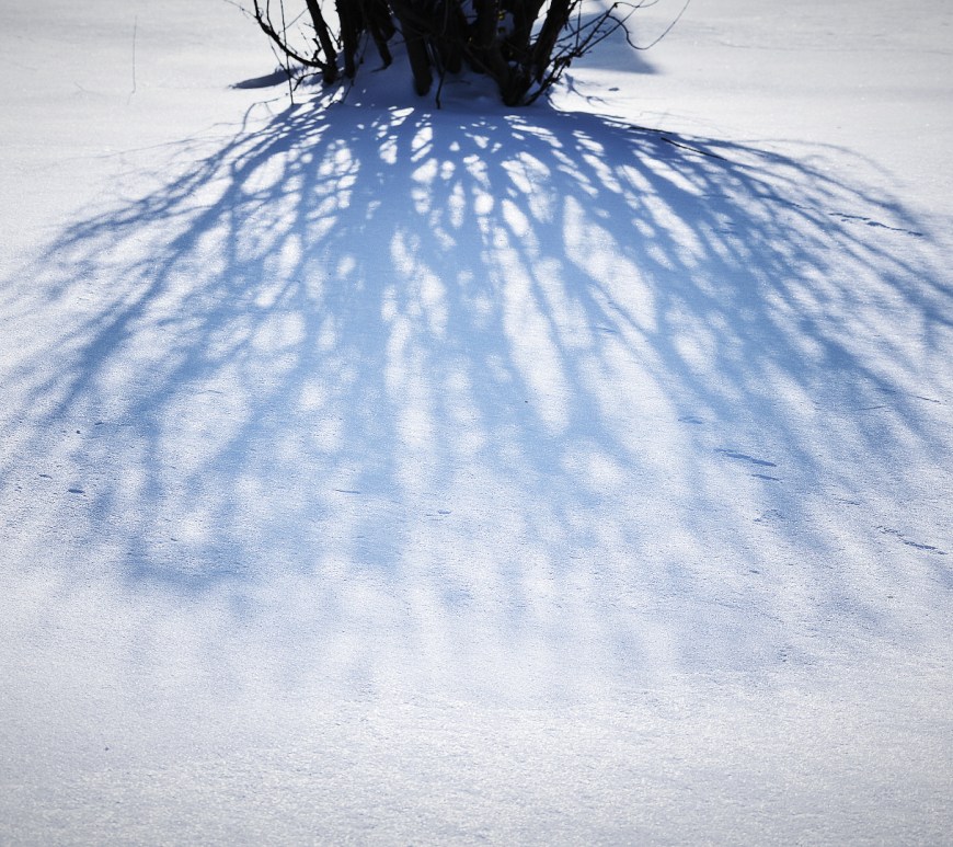 shadow on icy snow - thetemenosjournal.com