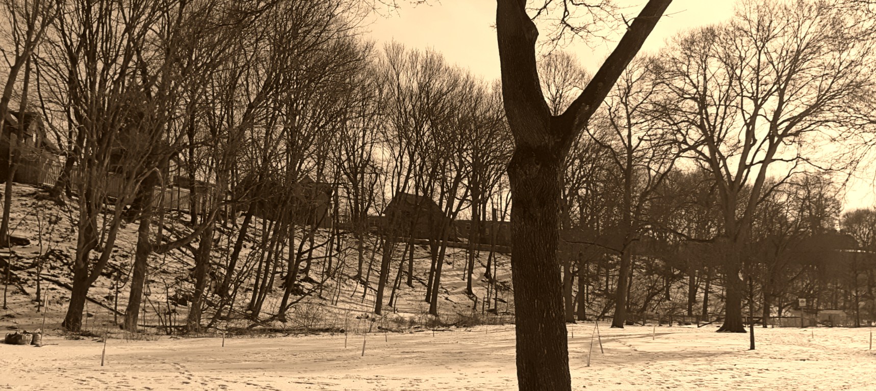 thames park view of wortley 2019 winter - london ontario canada - thetemenosjournal.com