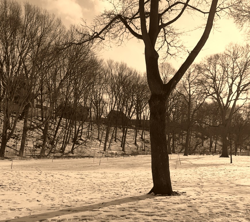 thames park view of wortley 2019 winter - london ontario canada - thetemenosjournal.com
