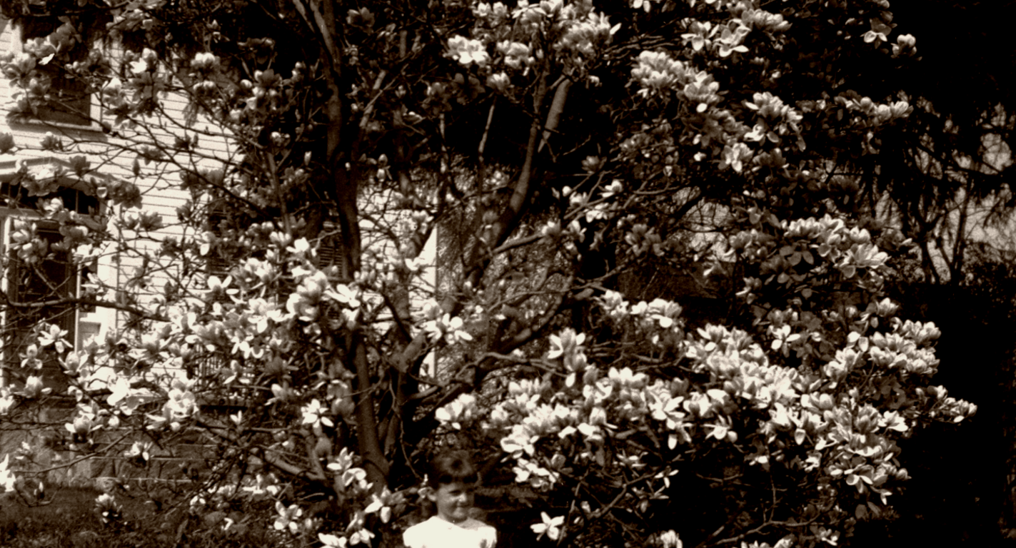 young girl in front of saucer Magnolia Tree