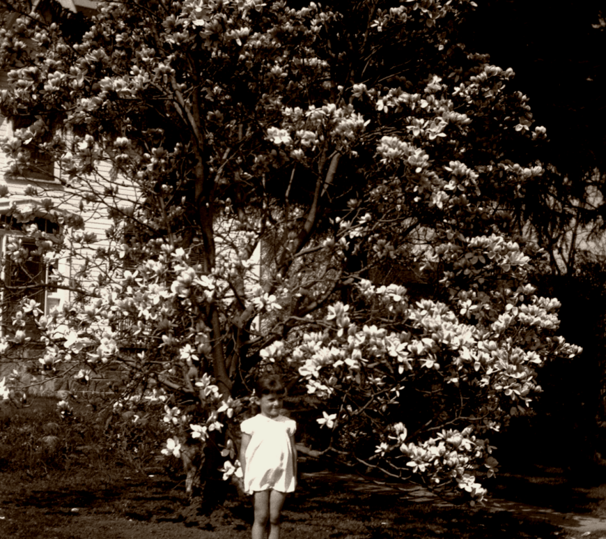 young girl in front of saucer Magnolia Tree