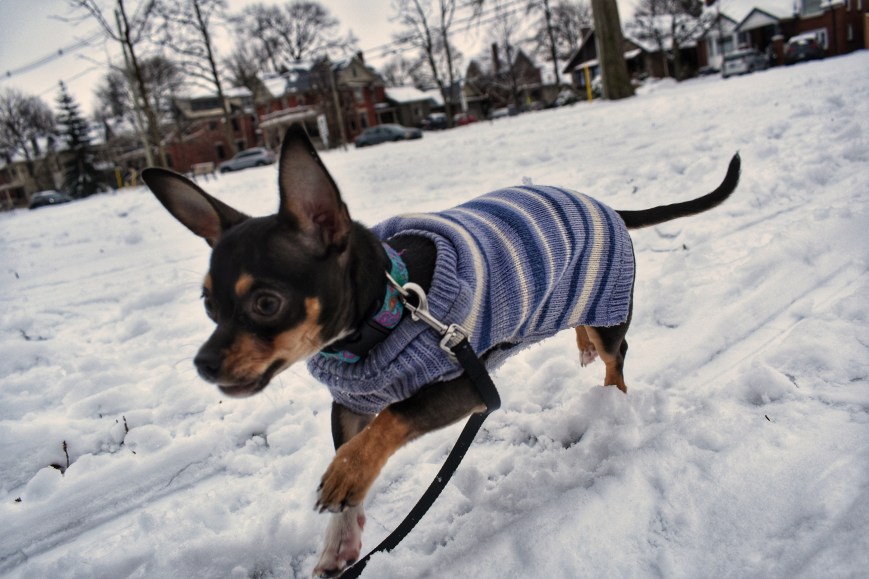 And This To Shall Pass, Like Kidney Stones ~ Letters To The Prettiest Girl In Town ~ 2