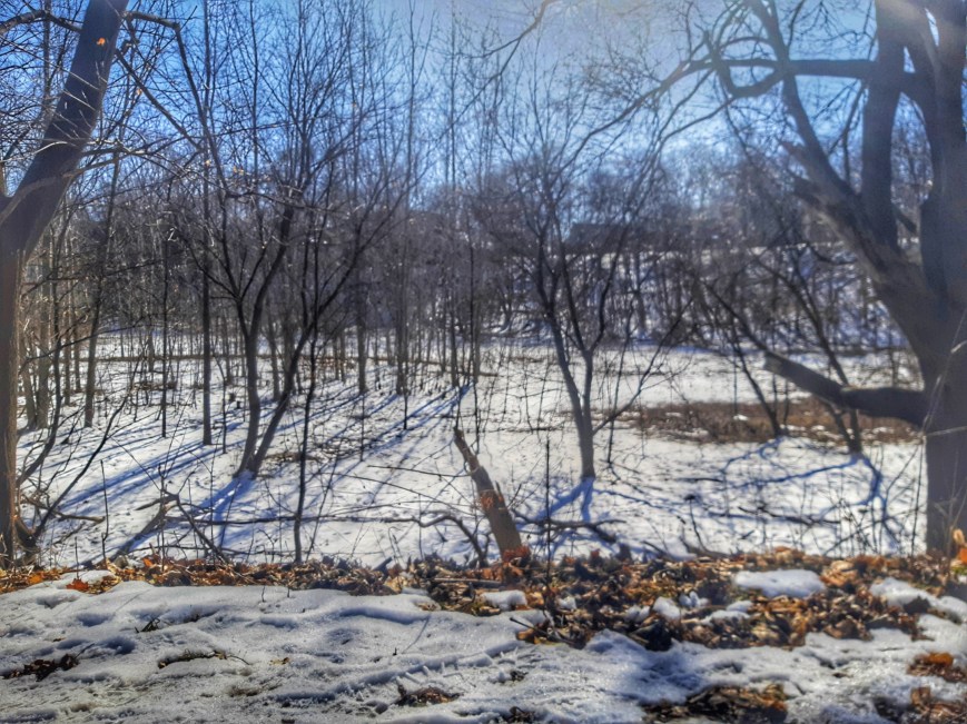 The Sunday School Teacher Who Raised A Heathen Fool ~ Letters To The Prettiest Girl In Town ~ 3