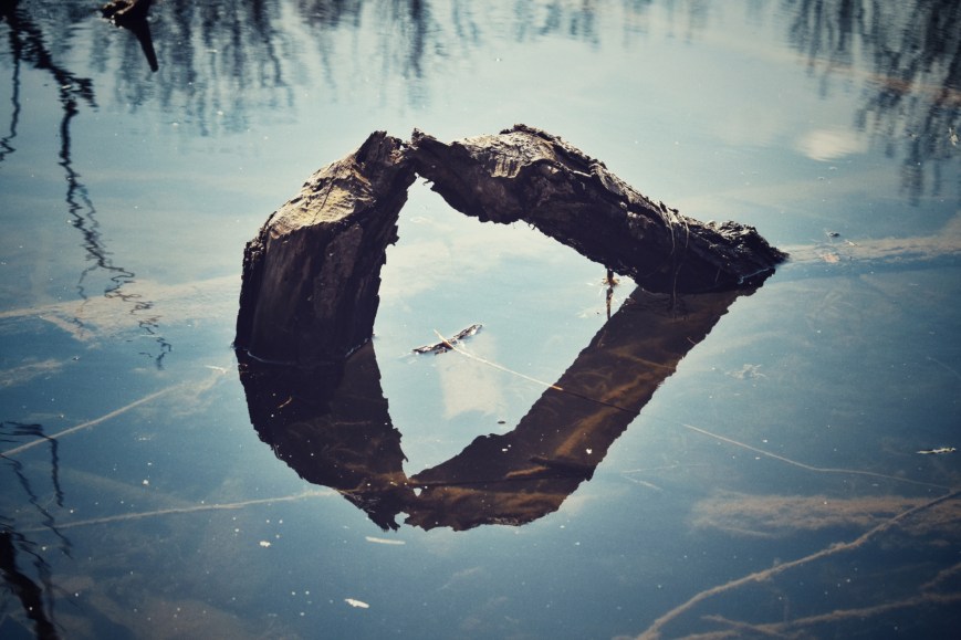 Between Panic And Calm, Love And Loathing, Us And Them, Healers And Hoarders, Is My Chihuahua