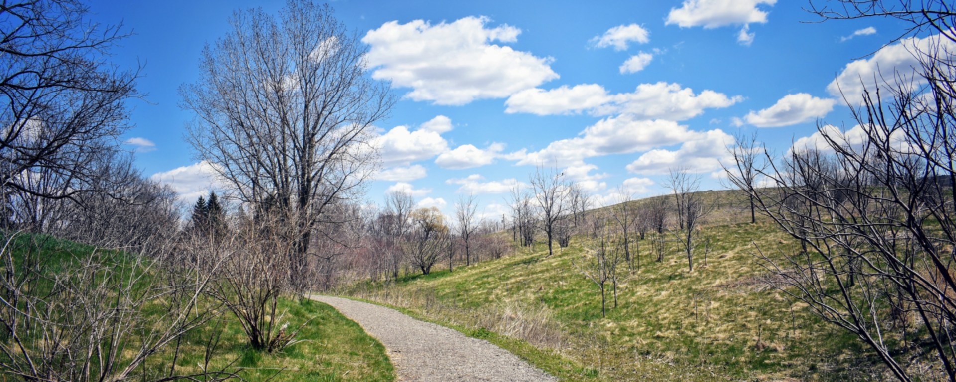 Blue Skies and A Pathway thru a meadow