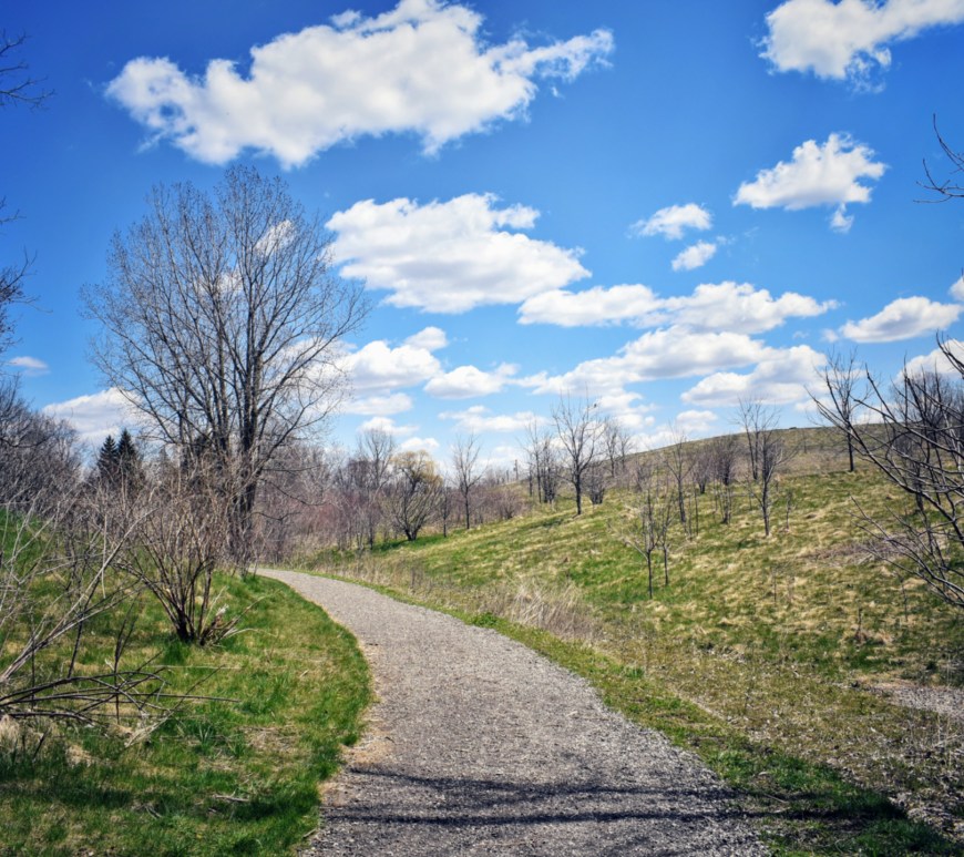 Blue Skies and A Pathway thru a meadow