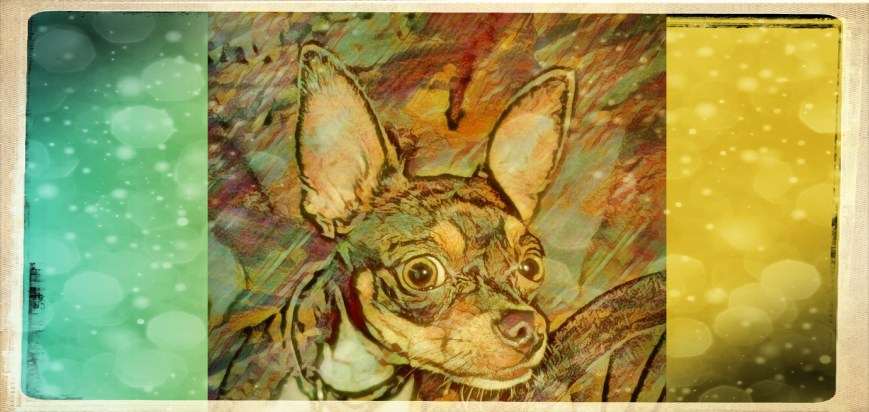 Ignorance May Be Bliss, Cept When It Kills Ya, Then We Call It Something Else, But What Do I Know