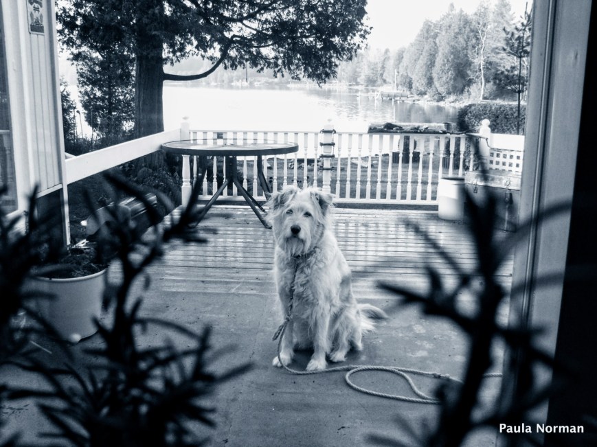 Oh, Ya, This Is Bringing Up Some Ghosts Of Grey For Me